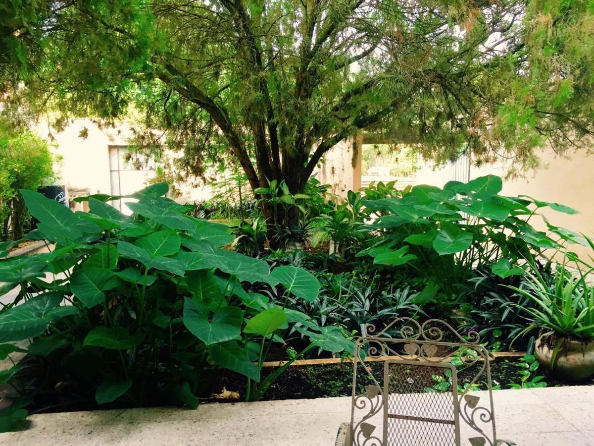 Hostal Kin-Beh Valladolid (Yucatan) Exterior foto